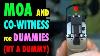 Reddot Moa U0026 Co Witness For Dummies By A Dummy